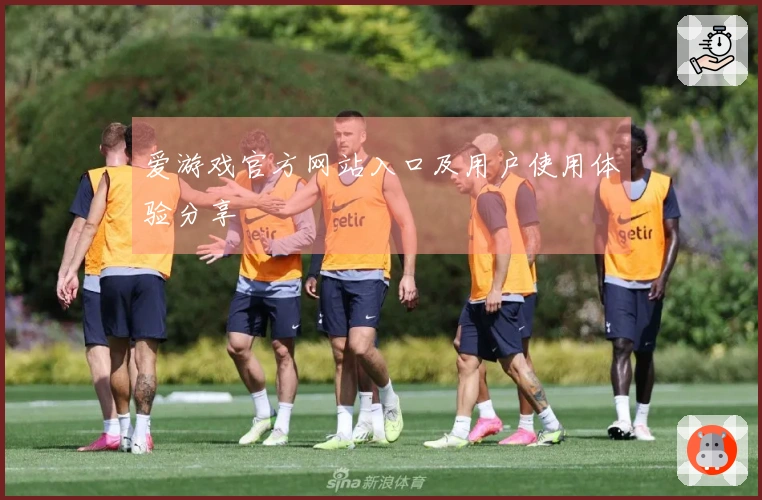 爱游戏官方网站入口及用户使用体验分享