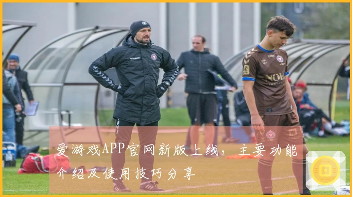 爱游戏APP官网新版上线，主要功能介绍及使用技巧分享